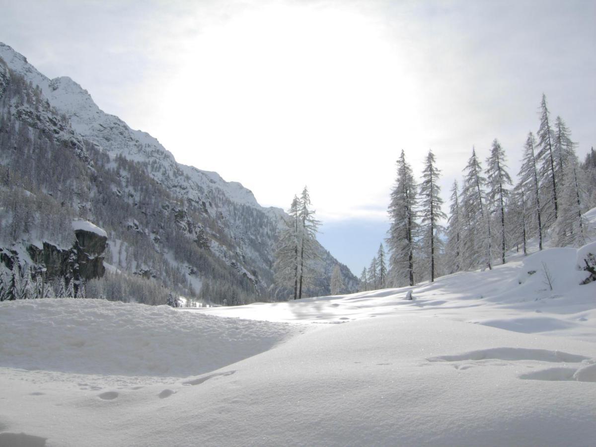Residence Oberteil Gressoney-la-Trinité Esterno foto