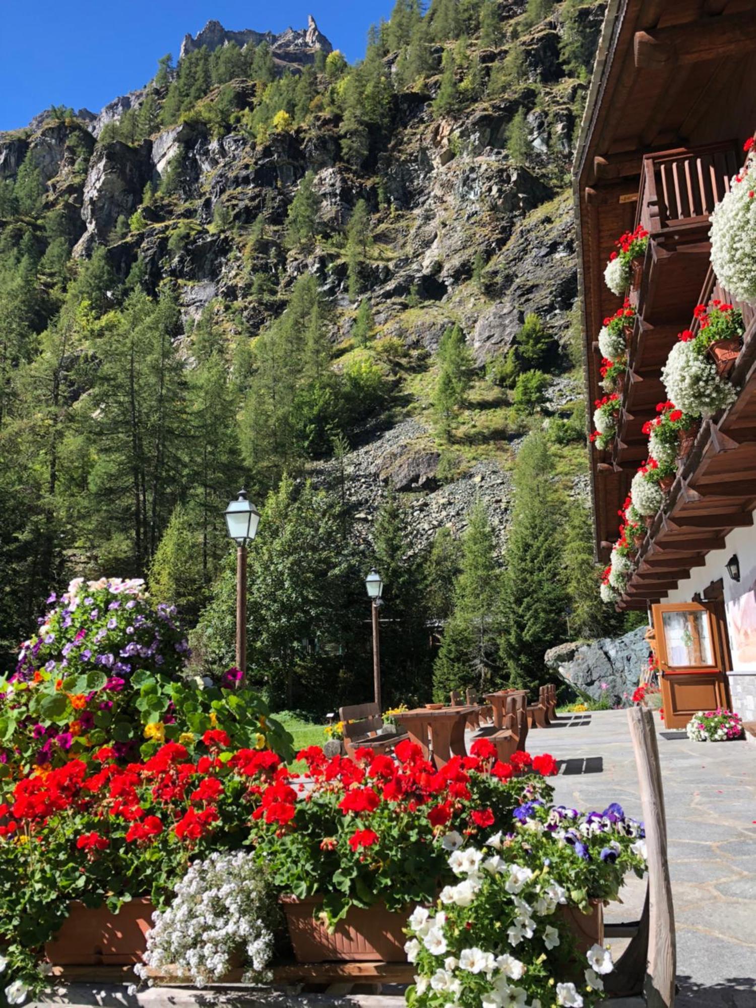 Residence Oberteil Gressoney-la-Trinité Esterno foto
