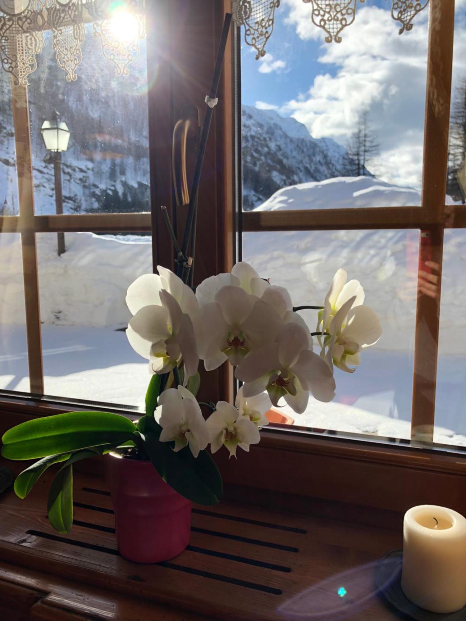 Residence Oberteil Gressoney-la-Trinité Esterno foto